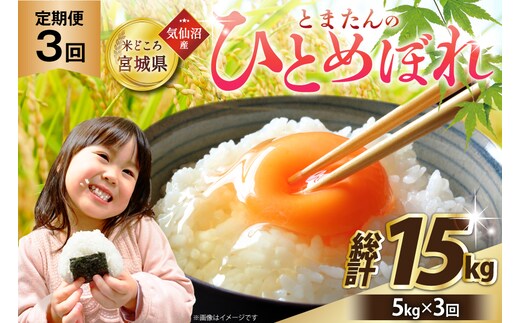 3回 定期便 米 宮城県産 とまたんのひとめぼれ 5kg 総計15kg [サンフレッシュ小泉農園 宮城県 気仙沼市 20566084] ひとめぼれ ブランド米 白米 精米 ご飯 ごはん コメ こめ お米 小分け 家庭用