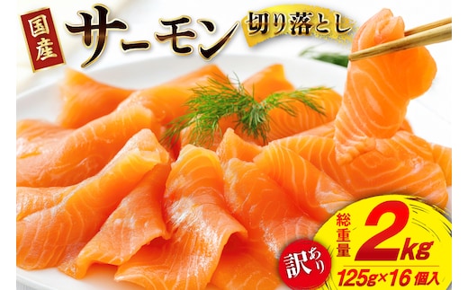 訳あり 国産サーモン 切り落とし おさしみ用 125g×16p 計2kg 個包装 [足利本店 宮城県 気仙沼市 20565986] 魚介 魚 鮭 銀鮭 生食用 刺身 お刺し身 刺し身 海鮮 真空パック 冷凍 訳アリ