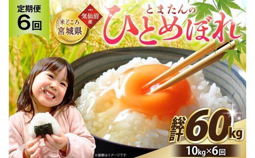 6回 定期便 米 宮城県産 とまたんのひとめぼれ 10kg (5kg×2袋) 総計60kg [サンフレッシュ小泉農園 宮城県 気仙沼市 20566087] ひとめぼれ ブランド米 白米 精米 ご飯 ごはん コメ こめ お米 小分け 家庭用