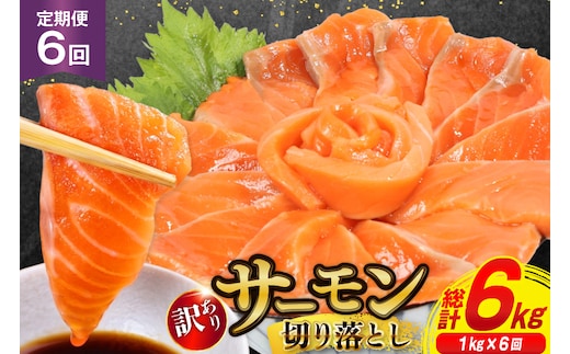 6回 定期便 訳あり サーモン 切り落とし おさしみ用 125gx8p×6回 合計6kg [足利本店 宮城県 気仙沼市 20564708] 魚介 鮭 さけ サケ お刺し身 刺し身 刺身 生食 個包装 小分け カット済み 銀鮭 チリ銀鮭