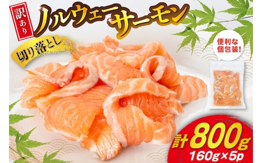 訳あり ノルウェー産 アトランティックサーモン 切り落とし おさしみ用 800g 160g×5p 個包装 [足利本店 宮城県 気仙沼市 20565990] 魚介 魚 サーモン さけ サケ 鮭 尾っぽ お刺し身 刺し身 刺身 冷凍