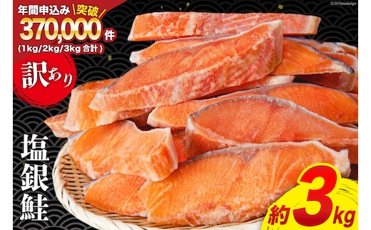 訳あり 銀鮭 切身 約3kg [宮城東洋 宮城県 気仙沼市 20564992] 鮭 魚介類 海鮮 訳アリ 規格外 不揃い さけ サケ 鮭切身 シャケ 切り身 冷凍 家庭用 おかず 弁当 支援 サーモン 銀鮭切り身 魚 わけあり