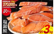 訳あり 銀鮭 切身 約3kg [宮城東洋 宮城県 気仙沼市 20564992] 鮭 魚介類 海鮮 訳アリ 規格外 不揃い さけ サケ 鮭切身 シャケ 切り身 冷凍 家庭用 おかず 弁当 支援 サーモン 銀鮭切り身 魚 わけあり