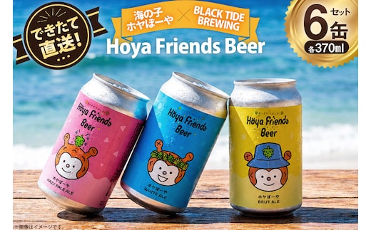 ビール Hoya Friends Beer 3液種 370ml缶 計6本 セット [BLACKTIDEBREWING合同会社 宮城県 気仙沼市 20566095] 酒 びーる クラフトビール お酒 地ビール ご当地ビール 詰め合わせ