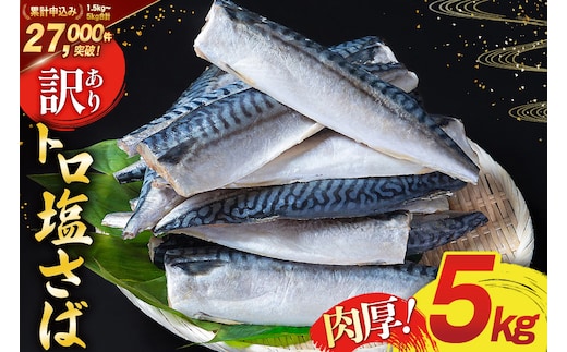 訳あり 塩サバ フィレ 5kg [足利本店 宮城県 気仙沼市 20565496] 魚介類 魚 海鮮 大容量 サバ さば 鯖 サバフィレ サバフィーレ 鯖フィレ 切り身 冷凍 訳アリ わけあり トロサバ 減塩 とろさば