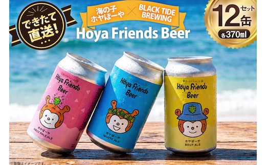 ビール Hoya Friends Beer 3液種 370ml缶 計12本 セット [BLACKTIDEBREWING合同会社 宮城県 気仙沼市 20566096] 酒 びーる クラフトビール お酒 地ビール ご当地ビール 詰め合わせ
