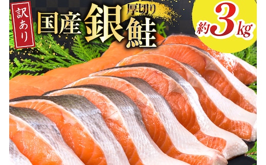 訳あり 国産 減塩 厚切り 塩銀鮭 切身 計 3kg [足利本店 宮城県 気仙沼市 20565950] サーモン 鮭 さけ サケ シャケ 魚 海鮮 魚介 甘塩味 規格外 不揃い 鮭切身 切り身 簡易包装 家庭用 訳アリ 冷凍 塩分控えめ 無添加
