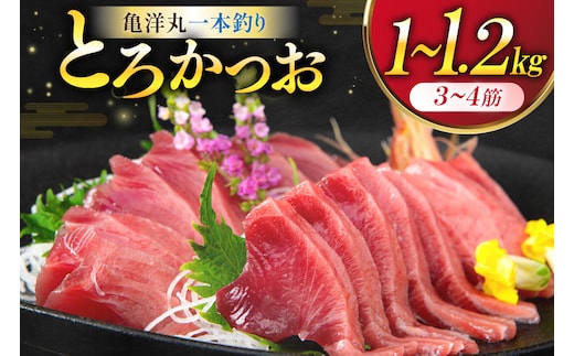 【TVで紹介！】亀洋丸一本釣りとろかつお 1kg～1.2kg [阿部長商店 宮城県 気仙沼市 20565040] 魚介類 海鮮 魚 カツオ かつお 鰹 トロ トロかつお 刺し身 刺身 お刺身 冷凍