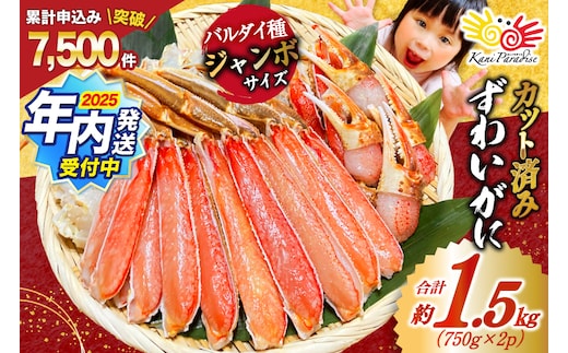 【2025 年内配送】 カット済 ずわいがに むき身セット 総重量1.5kg(750g×2p) かにしゃぶ かに鍋 正味重量1.2kg [カネダイ 宮城県 気仙沼市 20564319] かに カニ ずわいがに ずわい 蟹 棒 魚介 海鮮 ポーション within2025