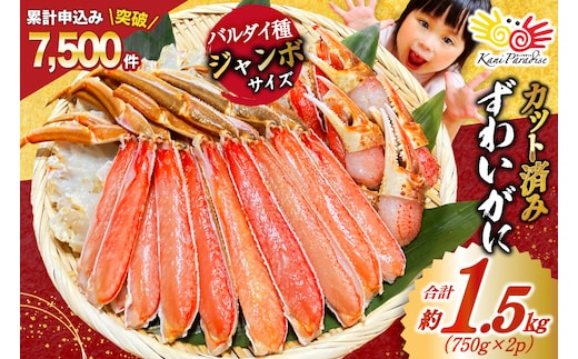 カット済 ずわいがに むき身セット 総重量1.5kg(750g×2p) かにしゃぶ かに鍋 正味重量1.2kg [カネダイ 宮城県 気仙沼市 20564319] かに カニ ずわいがに ずわい 蟹 棒 魚介 海鮮 ポーション