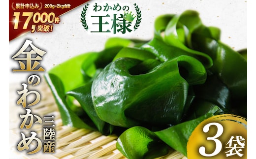 わかめの王様 三陸産 金のわかめ 200g×3 [ムラカミ 宮城県 気仙沼市 20563351] 三陸わかめ 三陸 国産 わかめ 海藻 ワカメ 若芽 小分け
