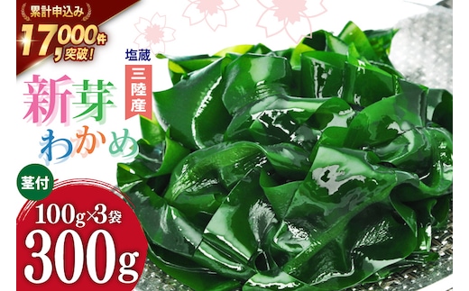 【漁師さんからのおすそわけ】新芽わかめ 300g(約100g×3袋) [かわむら家 宮城県 気仙沼市 20564375] わかめ ワカメ 若芽 海藻 国産 三陸 味噌汁 小分け 三陸わかめ