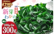 【漁師さんからのおすそわけ】新芽わかめ 300g(約100g×3袋) [かわむら家 宮城県 気仙沼市 20564375] わかめ ワカメ 若芽 海藻 国産 三陸 味噌汁 小分け 三陸わかめ