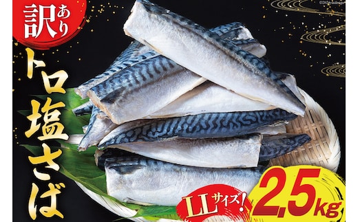訳あり トロ塩サバ フィレ LLサイズ 2.5kg ★フィレ1枚230g超え！[足利本店 宮城県 気仙沼市 20565620] 魚介類 魚 海鮮 鮮魚 サバ さば 鯖 サバフィレ サバフィーレ 鯖フィレ トロサバ 訳アリ わけあり 切り身 冷凍