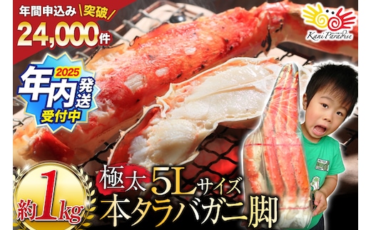 【2025 年内配送】 本 タラバガニ 脚 ボイル済 約1kg 極太5Lサイズ [カネダイ 宮城県 気仙沼市 20564323] カニ かに 蟹 たらばがに たらば蟹 タラバ蟹 たらば タラバ ボイル within2025