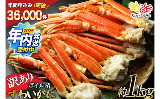 【2025 年内配送】 訳あり ボイル ずわいがに 肩付き脚 総重量1kg [カネダイ 宮城県 気仙沼市 20564325] カニ かに 魚介類 ズワイガニ ずわい蟹 ズワイ蟹 ずわい ズワイ 蟹 カニ カニ脚 蟹脚 不揃い 規格外 海鮮 ご褒美 within2025
