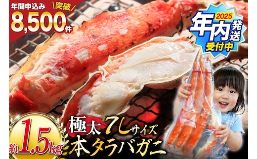 【2025 年内配送】 本 タラバガニ 脚 ボイル済 約1.5kg 極太7Lサイズ [カネダイ 宮城県 気仙沼市 20564326] カニ かに 蟹 たらばがに たらば蟹 タラバ蟹 たらば タラバ ボイル within2025