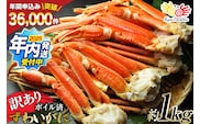 【2025 年内配送】 訳あり ボイル ずわいがに 肩付き脚 総重量1kg [カネダイ 宮城県 気仙沼市 20564325] カニ かに 魚介類 ズワイガニ ずわい蟹 ズワイ蟹 ずわい ズワイ 蟹 カニ カニ脚 蟹脚 不揃い 規格外 海鮮 ご褒美 within2025
