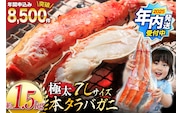 【2025 年内配送】 本 タラバガニ 脚 ボイル済 約1.5kg 極太7Lサイズ [カネダイ 宮城県 気仙沼市 20564326] カニ かに 蟹 たらばがに たらば蟹 タラバ蟹 たらば タラバ ボイル within2025