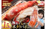 本 タラバガニ 脚 ボイル済 約1.5kg 極太7Lサイズ [カネダイ 宮城県 気仙沼市 20564326] カニ かに 蟹 たらばがに たらば蟹 タラバ蟹 たらば タラバ ボイル