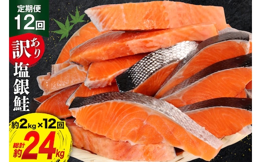定期便 《12ヶ月連続お届け》 訳あり 銀鮭 切身 約2kg×12回 計24kg [宮城東洋 宮城県 気仙沼市 20564464] 鮭 海鮮 規格外 不揃い さけ サケ 鮭切身 シャケ 切り身 冷凍 家庭用 訳アリ おかず 弁当 支援 事業者支援
