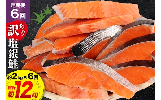 定期便 《6ヶ月連続お届け》 訳あり 銀鮭 切身 約2kg×6回 計12kg [宮城東洋 宮城県 気仙沼市 20564480] 鮭 海鮮 規格外 不揃い さけ サケ 鮭切身 シャケ 切り身 冷凍 家庭用 訳アリ おかず 弁当 支援 事業者支援