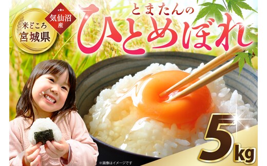 米 令和7年産 宮城県産 とまたんのひとめぼれ 5kg [サンフレッシュ小泉農園 宮城県 気仙沼市 20565646] 新米 ひとめぼれ ブランド米 白米 精米 ご飯 ごはん コメ こめ お米 小分け 家庭用