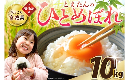 米 令和7年産 宮城県産 とまたんのひとめぼれ 10kg (5kg×2袋) [サンフレッシュ小泉農園 宮城県 気仙沼市 20565647] ひとめぼれ ブランド米 白米 精米 ご飯 ごはん コメ こめ お米 小分け 家庭用