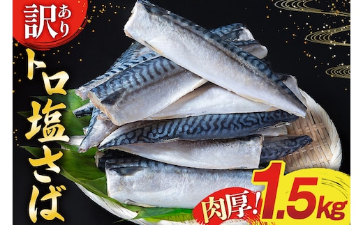 訳あり 塩サバ フィレ 1.5kg [足利本店 宮城県 気仙沼市 20565942] 魚介類 魚 海鮮 大容量 サバ さば 鯖 サバフィレ サバフィーレ 鯖フィレ 切り身 冷凍 訳アリ 訳あり わけあり トロサバ 減塩 とろさば