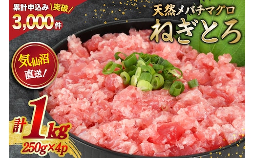 ネギトロ 気仙沼港直送 1kg (250g×4p) [畠和水産 宮城県 気仙沼市 20563348] メバチマグロタタキ 三陸産 小分け まぐろ丼 ねぎとろ まぐろ まぐろたたき 鮪