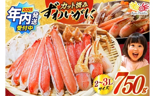 【2025 年内配送】 カット済 生 ずわいがに むき身 セット 総重量 750g (正味重量600g) 2-3Lサイズ [カネダイ 宮城県 気仙沼市 20565652] かに カニ ズワイガニ ずわい ズワイ 蟹 棒肉 ポーション かに鍋 かにしゃぶ 生ずわい