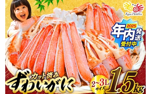 【2025 年内配送】 カット済 生 ずわいがに むき身 セット 総重量 1.5kg (正味重量1.2kg) 2-3Lサイズ [カネダイ 宮城県 気仙沼市 20565690] かに カニ ズワイガニ ずわい ズワイ 蟹 棒肉 ポーション かに鍋 かにしゃぶ 生ずわい