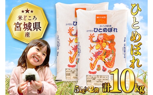 米 宮城県産 ひとめぼれ 10kg (5kg×2袋) [気仙沼米穀商業協同組合 宮城県 気仙沼市 20565763] 一等米 ブランド米 白米 精米 ご飯 ごはん コメ こめ お米 小分け 家庭用 レビューキャンペーン