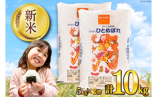 米 宮城県産 ひとめぼれ 10kg (5kg×2袋) [気仙沼米穀商業協同組合 宮城県 気仙沼市 20565763] 一等米 ブランド米 白米 精米 ご飯 ごはん コメ こめ お米 小分け 家庭用 レビューキャンペーン