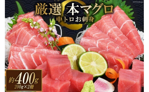 まぐろ 本マグロ背トロ 約400g(200g×2柵) [豊洋海産流通 宮城県 気仙沼市 20563371] 中トロ 刺身 冷凍
