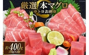 まぐろ 本マグロ背トロ 約400g(200g×2柵) [豊洋海産流通 宮城県 気仙沼市 20563371] 中トロ 刺身 冷凍