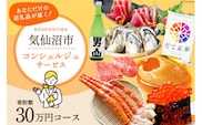 【あなただけの返礼品が届く】 コンシェルジュ サービス 寄附金額 30万円 オーダーメイド プラン [宮城県 気仙沼市 20561411]