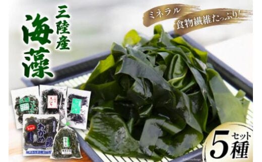 三陸産 海藻 5種セット ( わかめ 茎わかめ ひじき ふのり 昆布 ) [さんりくみらい 宮城県 気仙沼市 20564805] 三陸 海産 海産物 詰め合わせ 三陸産わかめ ワカメ 若芽