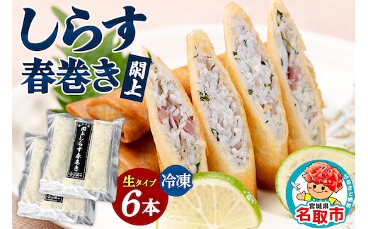 閖上（ゆりあげ） しらす 春巻き（生6本）冷凍 冷凍食品 惣菜 パリパリ おつまみ おかず お弁当 冷凍 中華惣菜 簡単 漁亭 浜や 宮城県 名取市