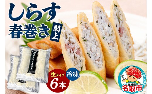 閖上（ゆりあげ） しらす 春巻き（生6本） 冷凍 冷凍食品 惣菜 パリパリ おつまみ おかず お弁当 冷凍 中華惣菜 簡単 漁亭 浜や 宮城県 名取市 [春巻 春巻き しらす シラス 冷凍 冷凍食品 惣菜 パリパリ グルメ おつまみ おかず お弁当 冷凍 中華惣菜 簡単 漁亭 浜や 宮城県 名取市]
