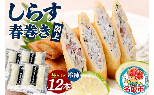 閖上（ゆりあげ） しらす 春巻き（生12本）冷凍 冷凍食品 惣菜 パリパリ おつまみ おかず お弁当 冷凍 中華惣菜 簡単 漁亭 浜や 宮城県 名取市