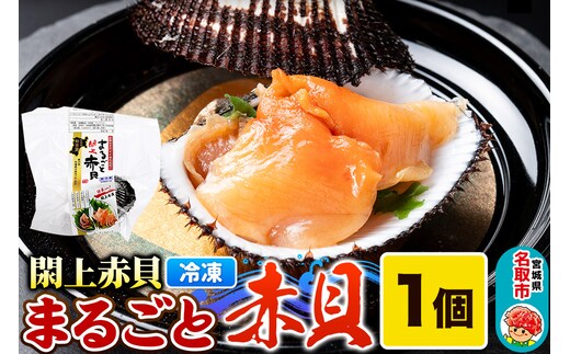【閖上（ゆりあげ）赤貝】まるごと赤貝 1個入り お刺身 貝紐のお刺身 赤貝の肝 酒蒸し 漁亭 浜や 宮城県 名取市