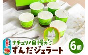 ナチュリノ自慢の「ずんだ」ジェラート 6個パック 自然派 人気店 Gelateria Natu-Lino natulino