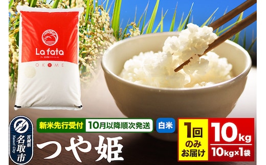 米 【2026年10月以降順次発送 先行受付】 令和8年産 つや姫 10kg×1袋【白米】至極の一杯 こだわりのお米 [ラ・ファータ つや姫 ブランド米 お米 白米 精米 米どころ 宮城 名取市]