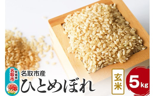 米 令和7年産 宮城県 名取市産 ひとめぼれ【玄米】 5kg [ひとめぼれ ブランド米 お米 米 玄米 米どころ 食卓 おいしい 美味 宮城県 名取市産]