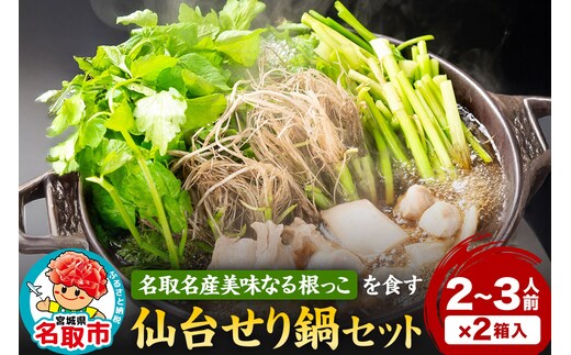 『仙台せり鍋セット 美味なる根っこ』 漁亭 浜や 名取名産美味なる根っこを食す 2～3人前×2箱
