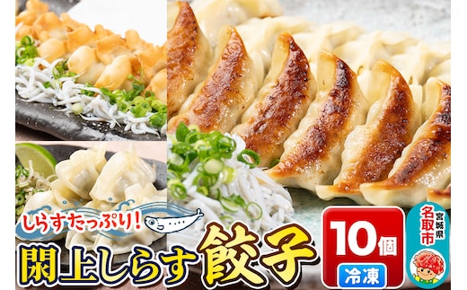 漁亭 浜や 閖上（ゆりあげ）しらす餃子 10個 にんにく不使用 美味 ブランド豚 ジャパンX 冷凍 冷凍食品 漁亭 浜や 宮城県 名取市