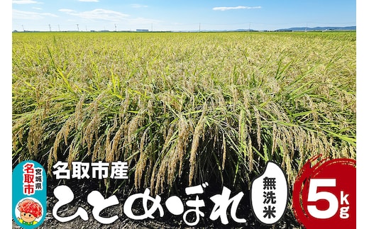 令和7年産 ひとめぼれ 無洗米 5kg 宮城県名取市産 新米
