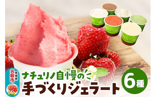 ナチュリノ自慢の手づくりジェラート 6種 自然派 人気店 Gelateria Natu-Lino natulino