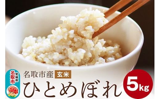 令和7年産 名取市産 ひとめぼれ 玄米5kg